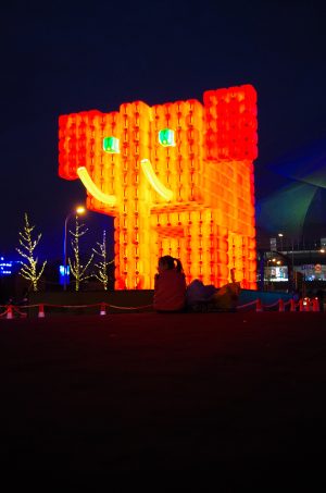 Elephant Rouge - Lumières Shanghai - Chine 2017