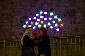 Fish Forest – Light Festival - Jérusalem 2015